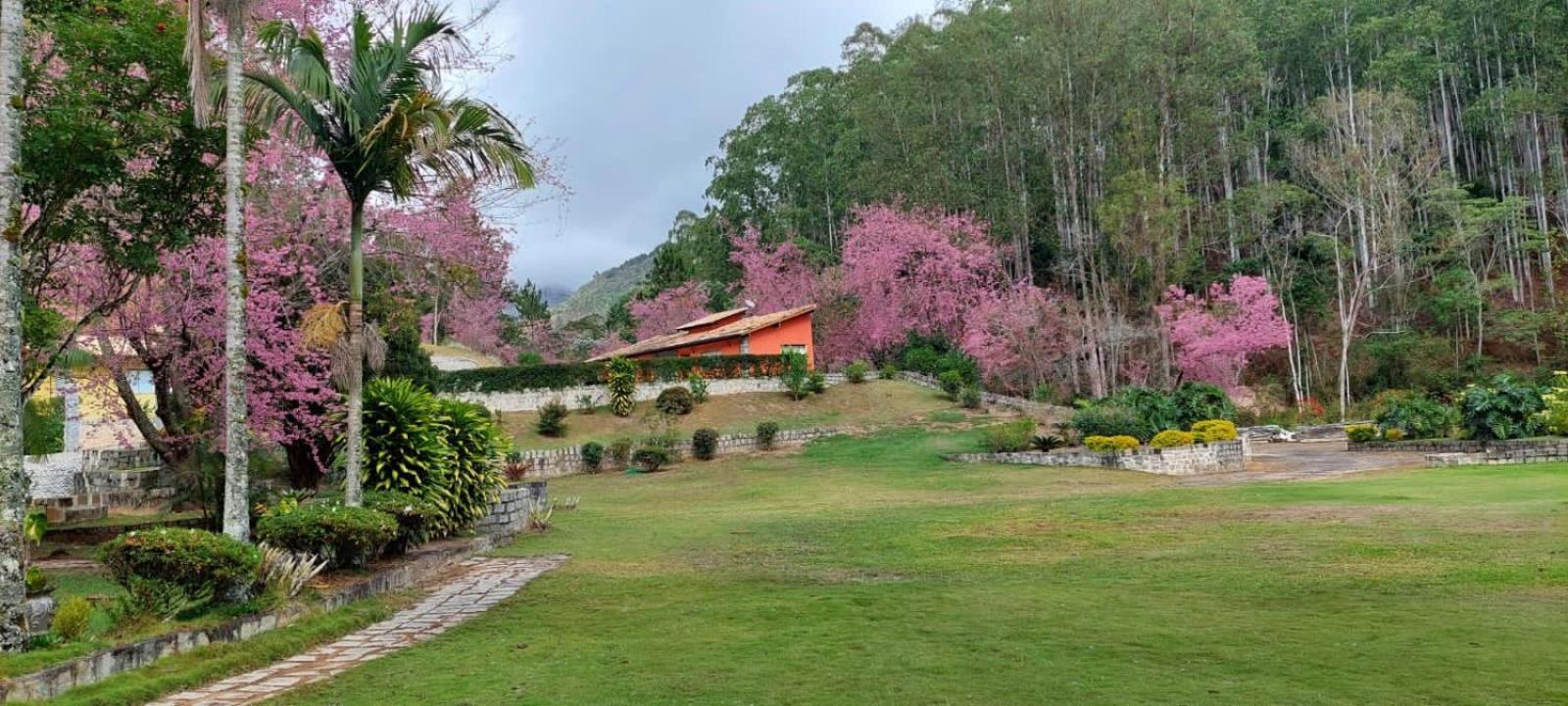 Cabanas Eco Das Montanhas Domingos Martins Exterior photo